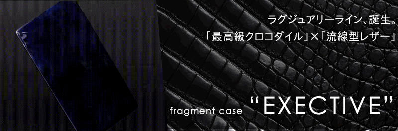 fragment case soultwin